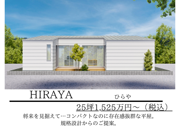 HIRAYA600-2.png